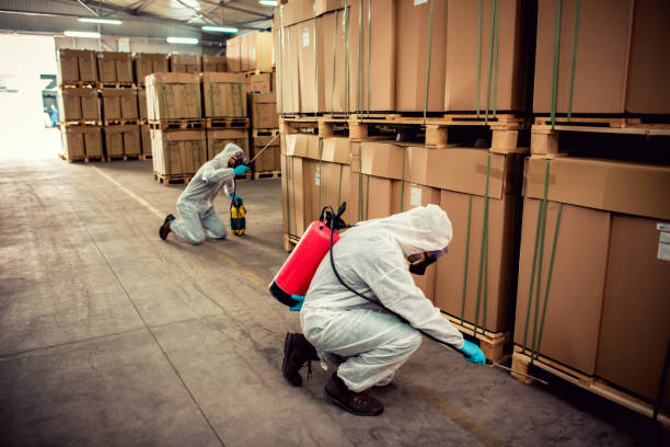 Flea Control Services in Brookside Village, TX