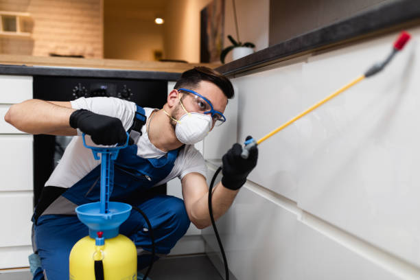 Best Termite Control Services  in Brookside Village, TX