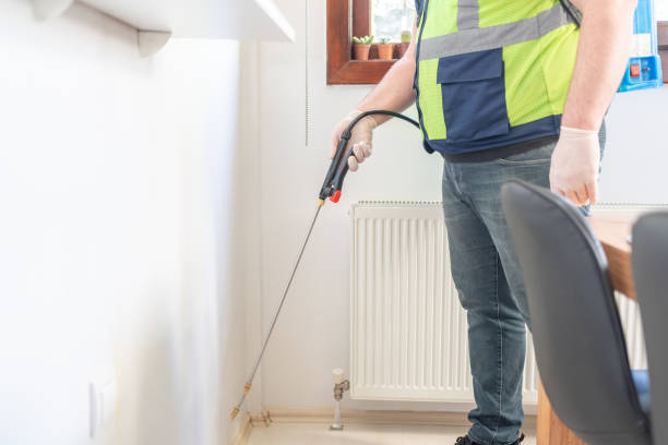 Best Pest Prevention Services  in Brookside Village, TX