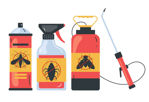 Best Pest Inspection Near Me  in Brookside Village, TX