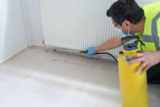 Best Pest Control Near Me  in Brookside Village, TX